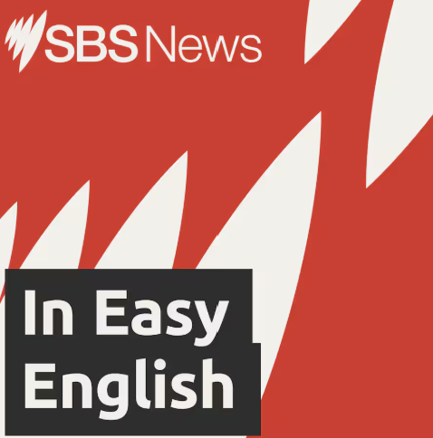 sbs in easy english